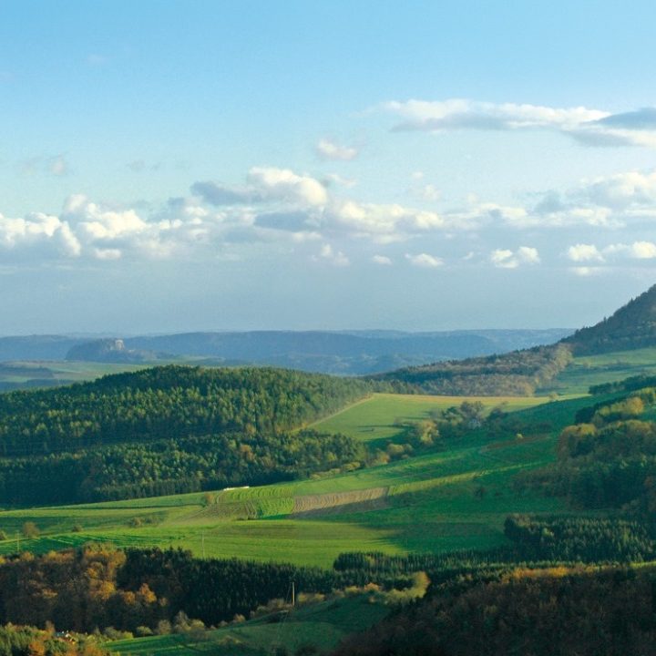 Spargelzeit Spargelgerichte