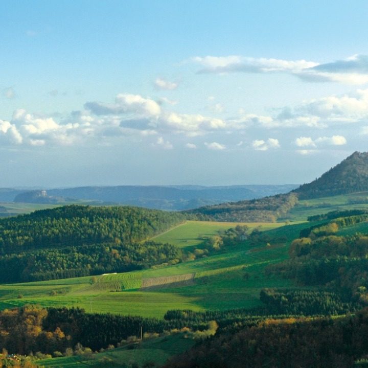 Spargelzeit Spargelgerichte